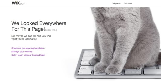 wix 404 page with cat on keyboard